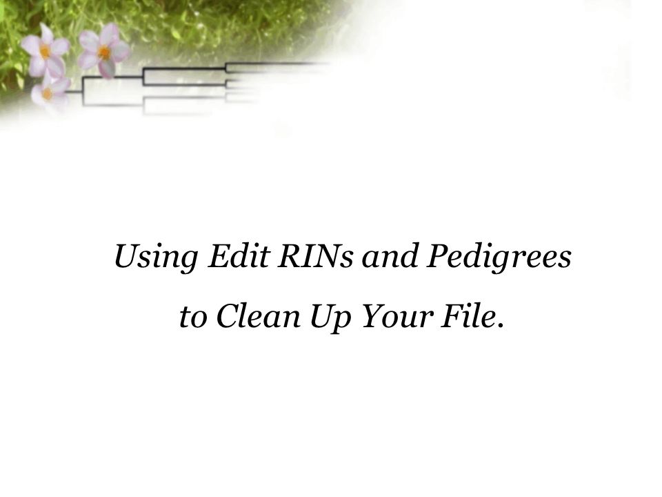 Using Edit RINs and Pedigrees to Clean Up Your File.