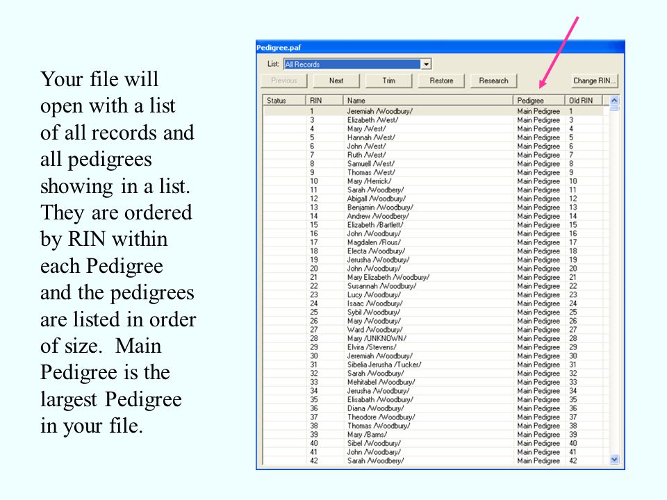 Your file will open with a list of all records and all pedigrees showing in a list.