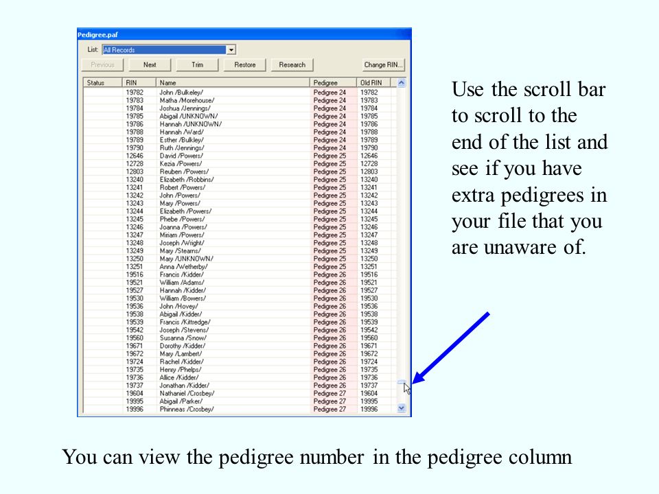 Use the scroll bar to scroll to the end of the list and see if you have extra pedigrees in your file that you are unaware of.