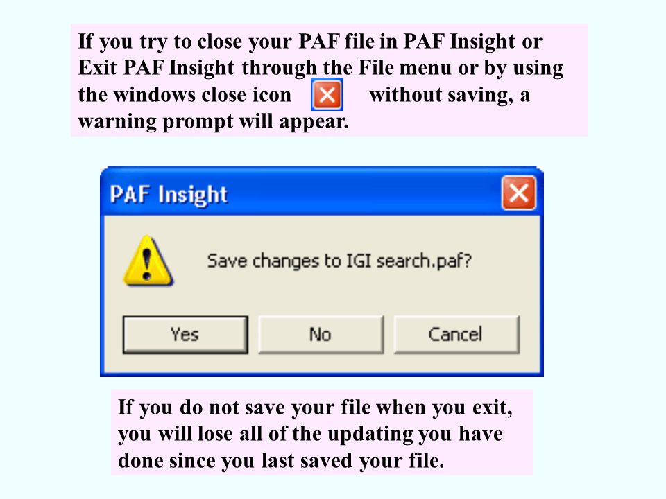 If you try to close your PAF file in PAF Insight or Exit PAF Insight through the File menu or by using the windows close icon without saving, a warning prompt will appear.
