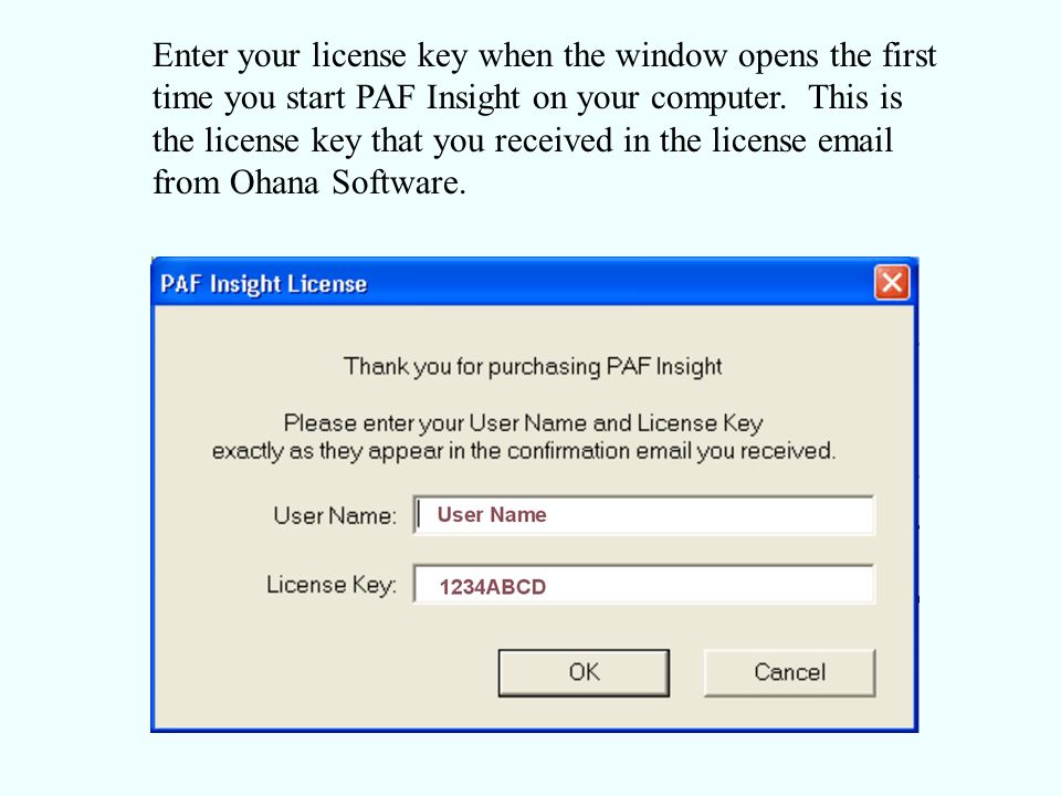 Enter your license key when the window opens the first time you start PAF Insight on your computer.
