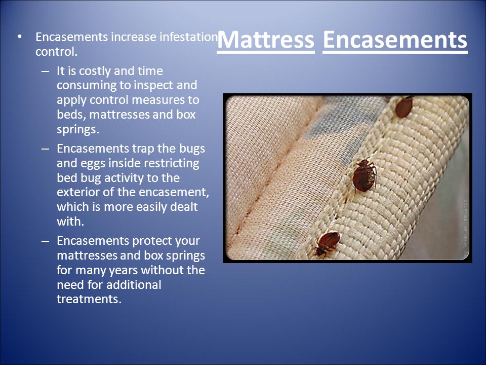Mattress Encasements Encasements increase infestation control.