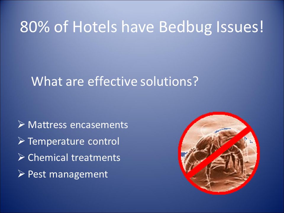 80% of Hotels have Bedbug Issues. What are effective solutions.