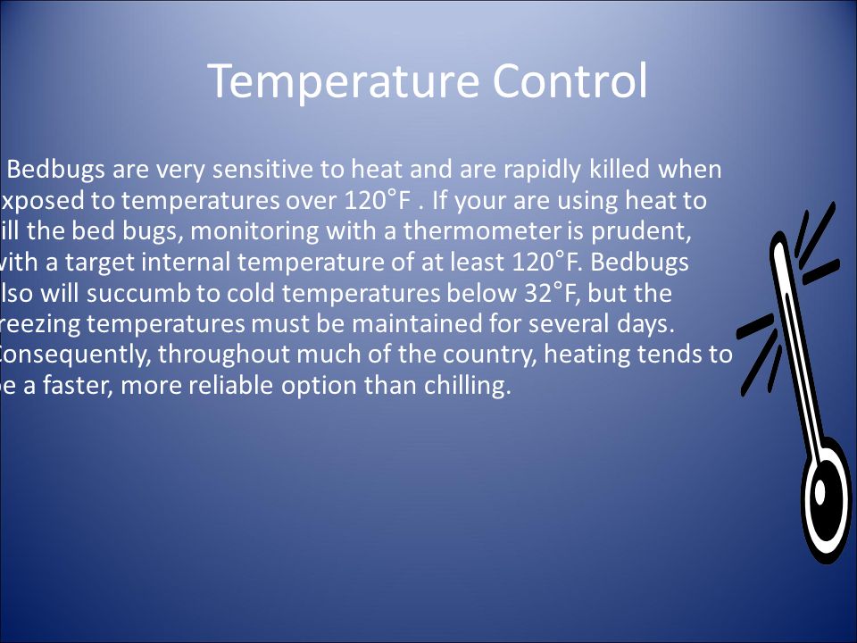 Temperature Control Bedbugs are very sensitive to heat and are rapidly killed when exposed to temperatures over 120°F.
