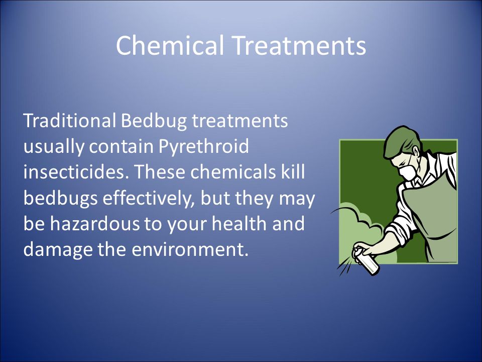 Chemical Treatments Traditional Bedbug treatments usually contain Pyrethroid insecticides.