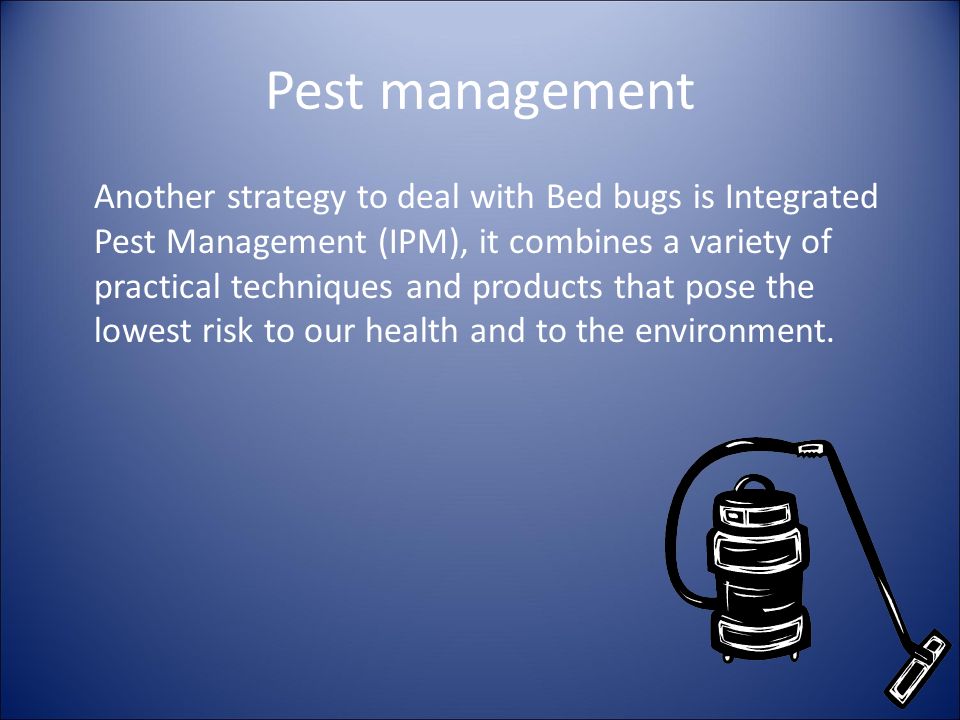 Pest management Another strategy to deal with Bed bugs is Integrated Pest Management (IPM), it combines a variety of practical techniques and products that pose the lowest risk to our health and to the environment.