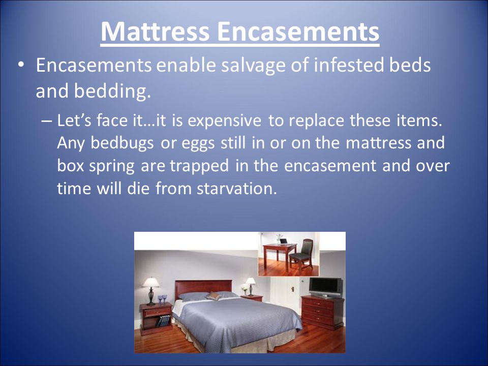 Mattress Encasements Encasements enable salvage of infested beds and bedding.