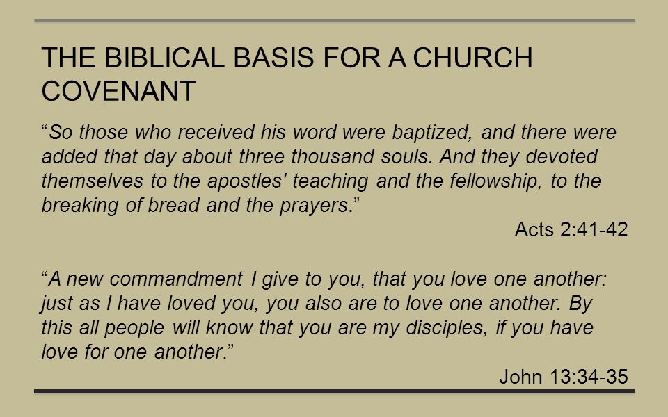 another word for membership