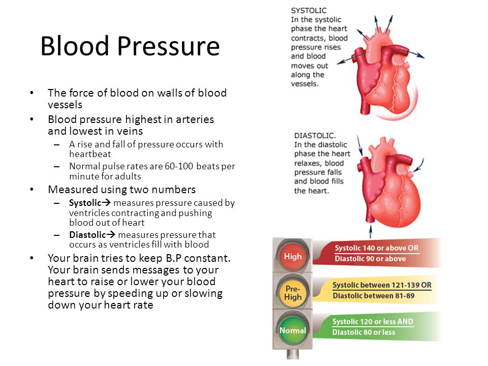 Blood Pressure The force of blood on walls of blood vessels Blood pressure highest in arteries and lowest in veins – A rise and fall of pressure occurs with heartbeat – Normal pulse rates are beats per minute for adults Measured using two numbers – Systolic  measures pressure caused by ventricles contracting and pushing blood out of heart – Diastolic  measures pressure that occurs as ventricles fill with blood Your brain tries to keep B.P constant.