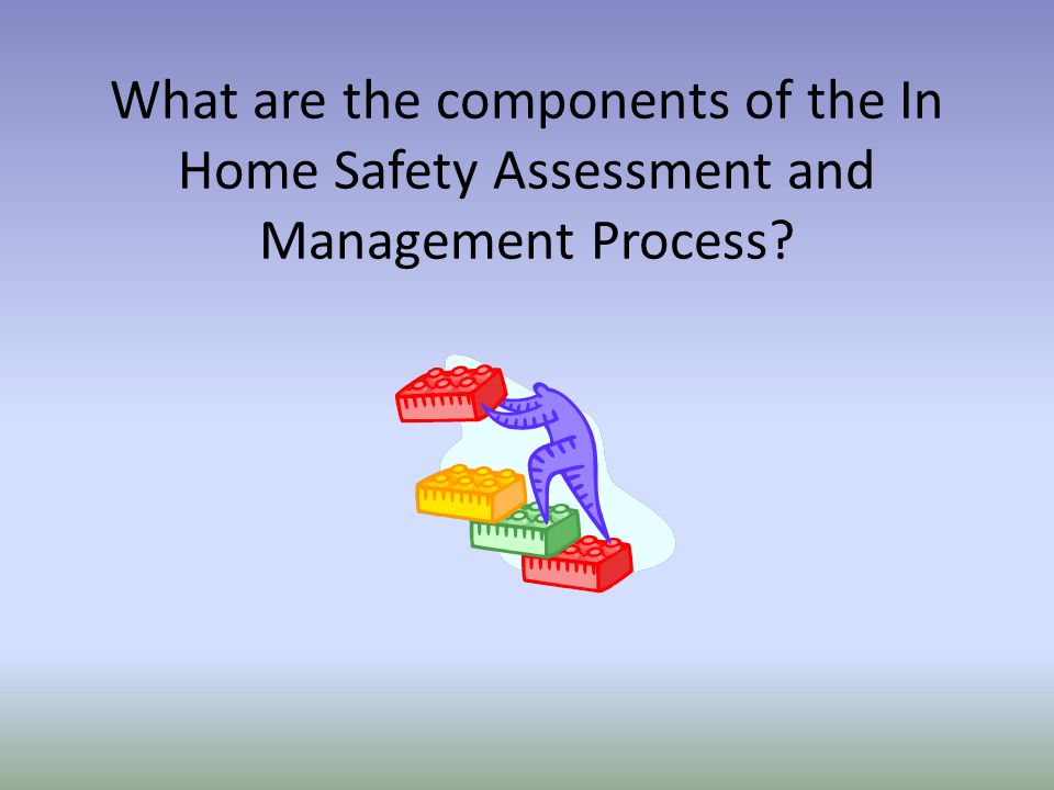 What are the components of the In Home Safety Assessment and Management Process