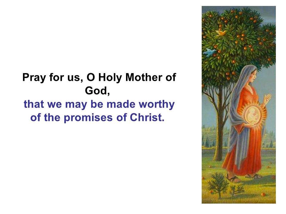 Pray for us, O Holy Mother of God, that we may be made worthy of the promises of Christ.