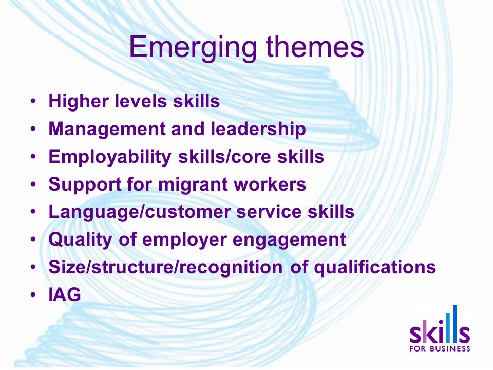 Emerging themes Higher levels skills Management and leadership Employability skills/core skills Support for migrant workers Language/customer service skills Quality of employer engagement Size/structure/recognition of qualifications IAG