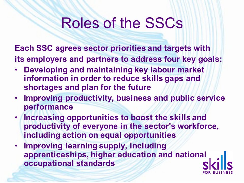 Roles of the SSCs Each SSC agrees sector priorities and targets with its employers and partners to address four key goals: Developing and maintaining key labour market information in order to reduce skills gaps and shortages and plan for the future Improving productivity, business and public service performance Increasing opportunities to boost the skills and productivity of everyone in the sector s workforce, including action on equal opportunities Improving learning supply, including apprenticeships, higher education and national occupational standards