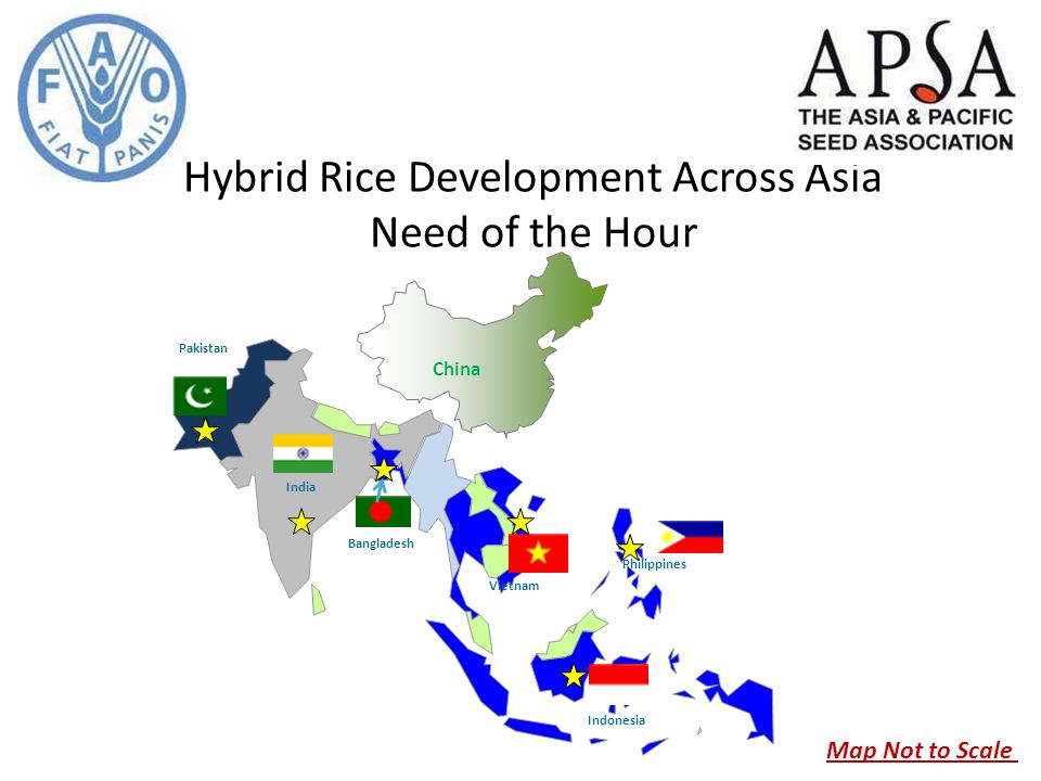 Hybrid Rice Development Across Asia Need of the Hour India Pakistan Indonesia Philippines Bangladesh Vietnam China Map Not to Scale