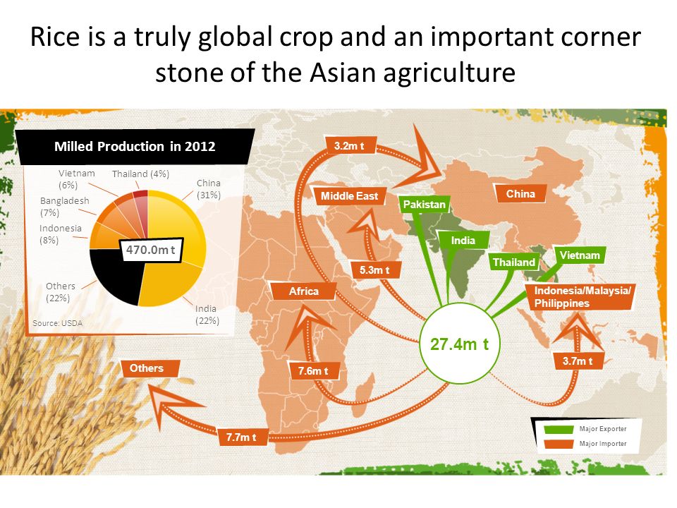 Rice is a truly global crop and an important corner stone of the Asian agriculture Major Exporter Major Importer Others 7.7m t7.6m t 3.7m t 3.2m t Middle East 5.3m tAfricaChinaIndiaPakistanVietnamThailand 27.4m t Indonesia/Malaysia/ Philippines Vietnam (6%) China (31%) India (22%) Others (22%) Thailand (4%) Indonesia (8%) Bangladesh (7%) Source: USDA Milled Production in m t