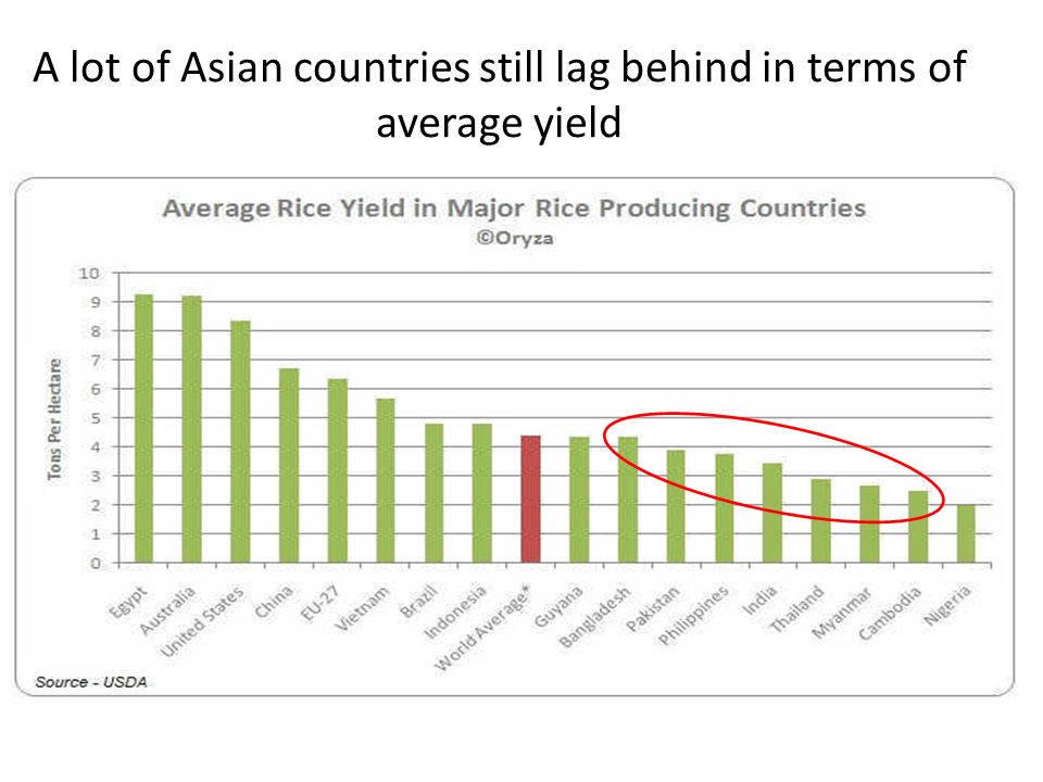 A lot of Asian countries still lag behind in terms of average yield