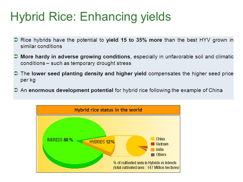 Hybrid Rice: Enhancing yields  Rice hybrids have the potential to yield 15 to 35% more than the best HYV grown in similar conditions  More hardy in adverse growing conditions, especially in unfavorable soil and climatic conditions – such as temporary drought stress  The lower seed planting density and higher yield compensates the higher seed price per kg  An enormous development potential for hybrid rice following the example of China Hybrid rice status in the world
