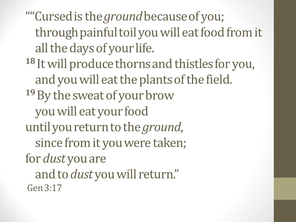 Cursed is the ground because of you; through painful toil you will eat food from it all the days of your life.