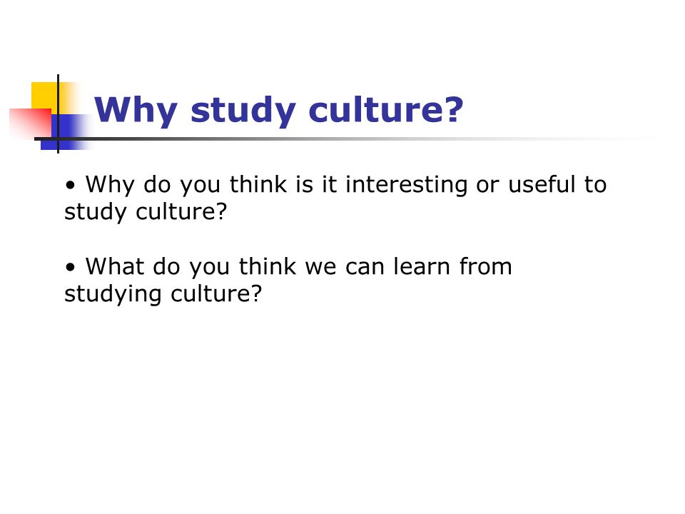 Why study culture. Why do you think is it interesting or useful to study culture.