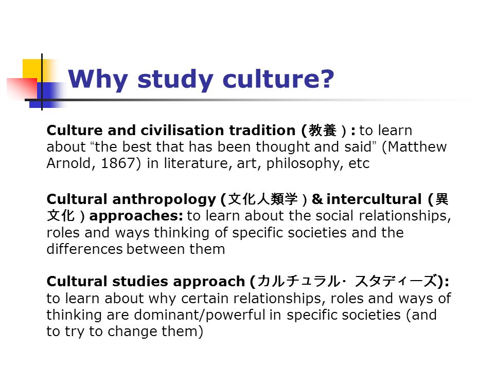 Why study culture.