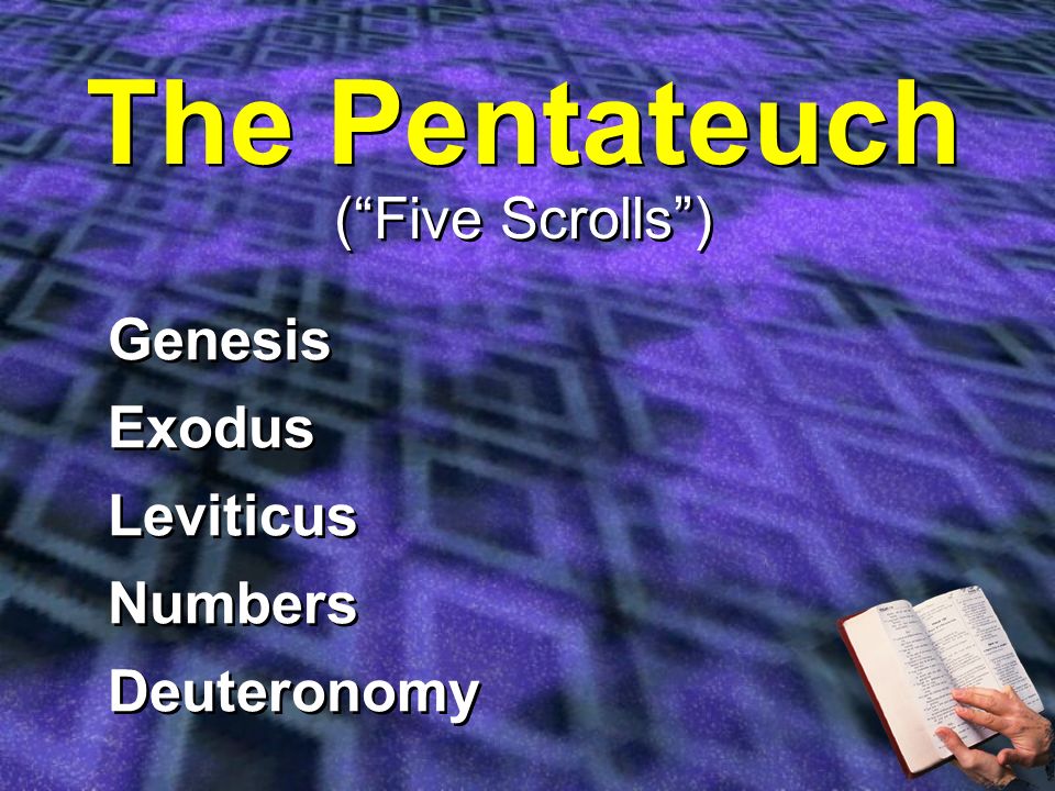 The Pentateuch ( Five Scrolls ) Genesis Exodus Leviticus Numbers Deuteronomy Genesis Exodus Leviticus Numbers Deuteronomy