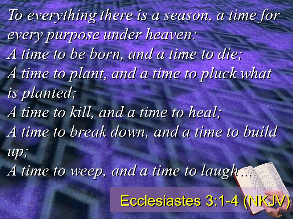 To everything there is a season, a time for every purpose under heaven: A time to be born, and a time to die; A time to plant, and a time to pluck what is planted; A time to kill, and a time to heal; A time to break down, and a time to build up; A time to weep, and a time to laugh… To everything there is a season, a time for every purpose under heaven: A time to be born, and a time to die; A time to plant, and a time to pluck what is planted; A time to kill, and a time to heal; A time to break down, and a time to build up; A time to weep, and a time to laugh… Ecclesiastes 3:1-4 (NKJV)