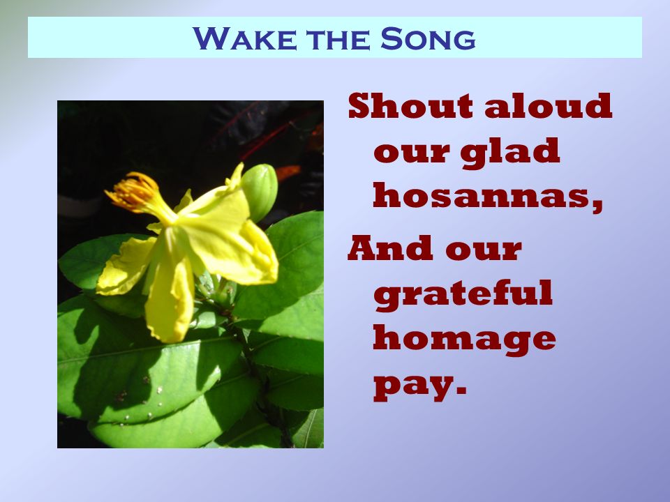 Wake the Song Shout aloud our glad hosannas, And our grateful homage pay.