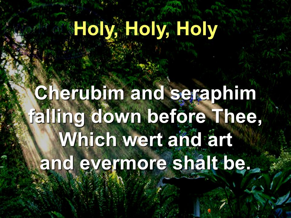 Cherubim and seraphim falling down before Thee, Which wert and art and evermore shalt be.