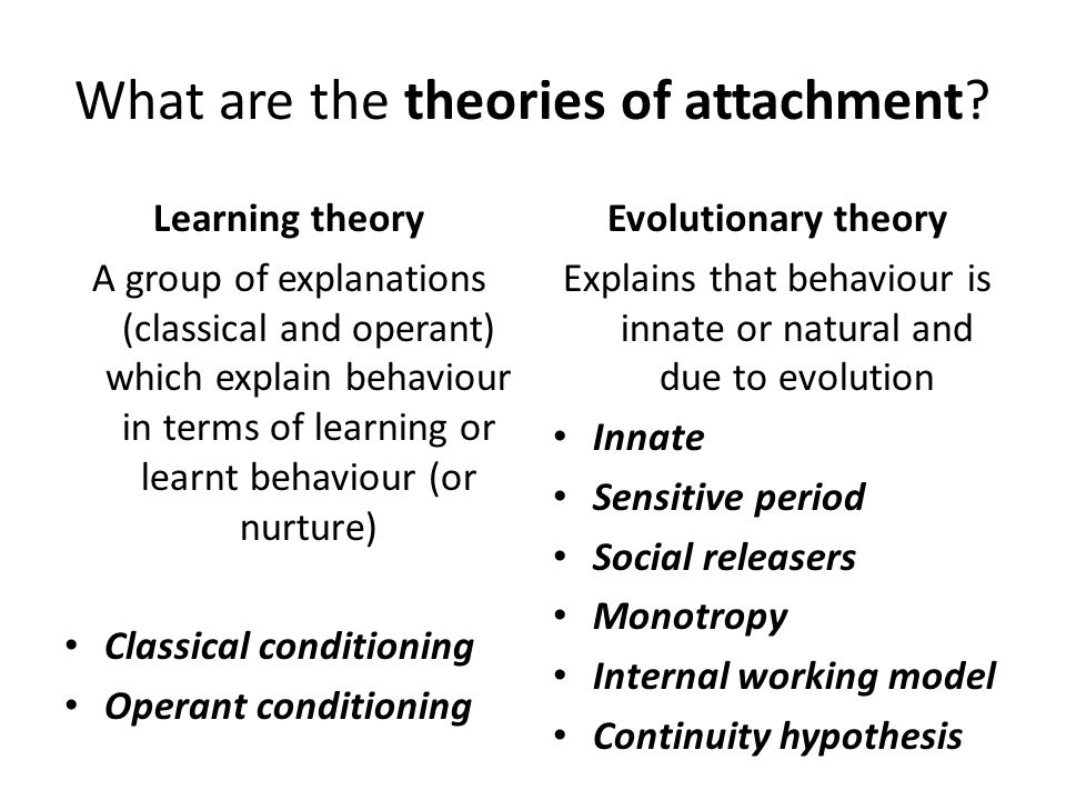 4 explain the theories of learning which acquire patterns of behaviour Discuss the concept of social learning theory 4 explain about the classical conditioning, learning how it is that children acquire new behaviours. 4 explain the theories of learning which acquire patterns of behaviour Discuss the concept of social learning theory 4 explain about the classical conditioning, learning how it is that children acquire new behaviours.