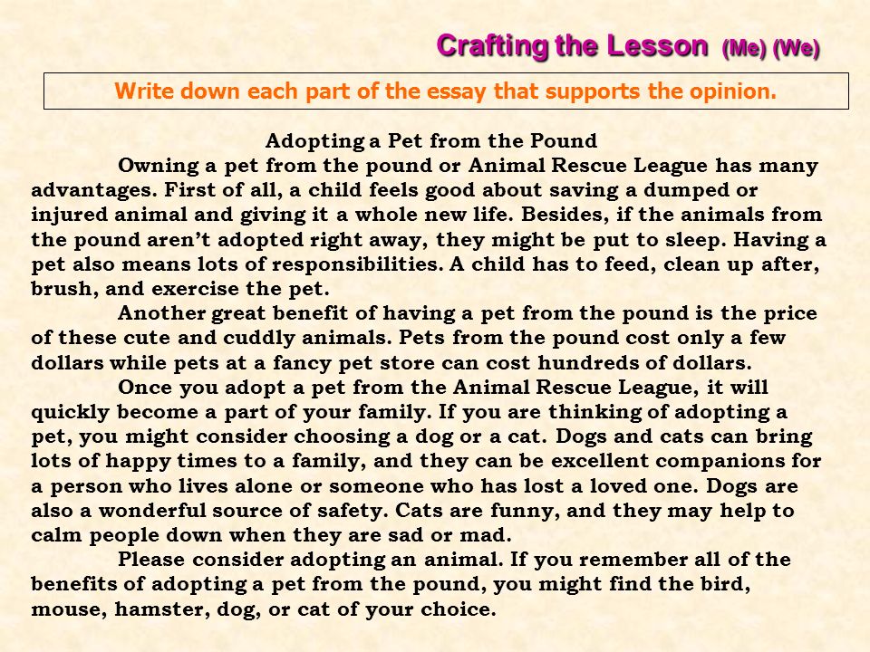 to own a pet essay Persuasive essay on adopting a dog the main reason why so many dogs are available for adoption is there are many individuals who give up their pets to own. to own a pet essay Persuasive essay on adopting a dog the main reason why so many dogs are available for adoption is there are many individuals who give up their pets to own.