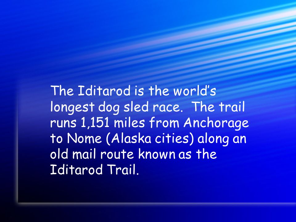 the iditarod is the world"s longest dog sled race