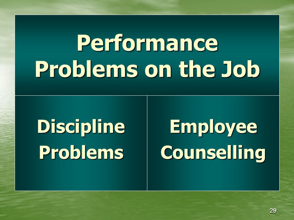 29 EmployeeCounsellingDisciplineProblems Performance Problems on the Job