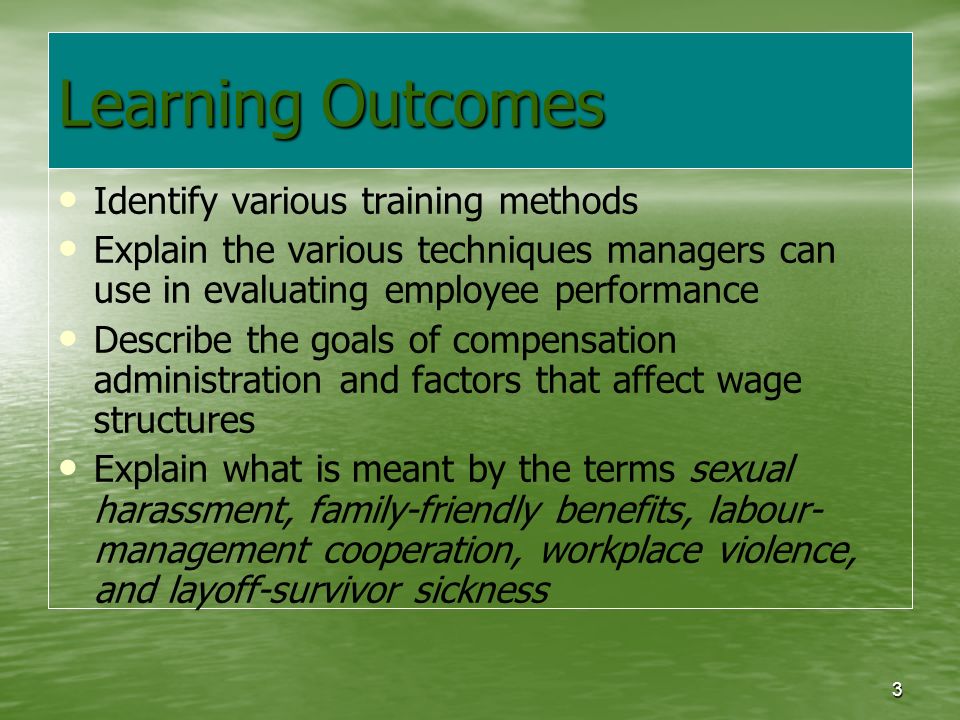 3 Learning Outcomes Identify various training methods Explain the various techniques managers can use in evaluating employee performance Describe the goals of compensation administration and factors that affect wage structures Explain what is meant by the terms sexual harassment, family-friendly benefits, labour- management cooperation, workplace violence, and layoff-survivor sickness