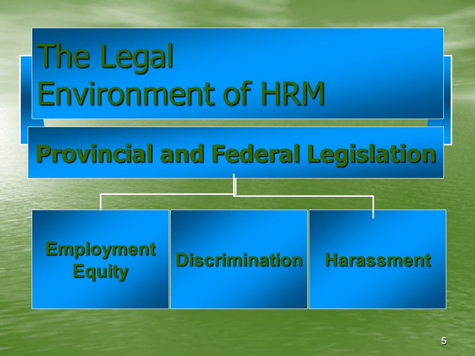 5 The Legal Environment of HRM Provincial and Federal Legislation EmploymentEquityDiscriminationHarassment