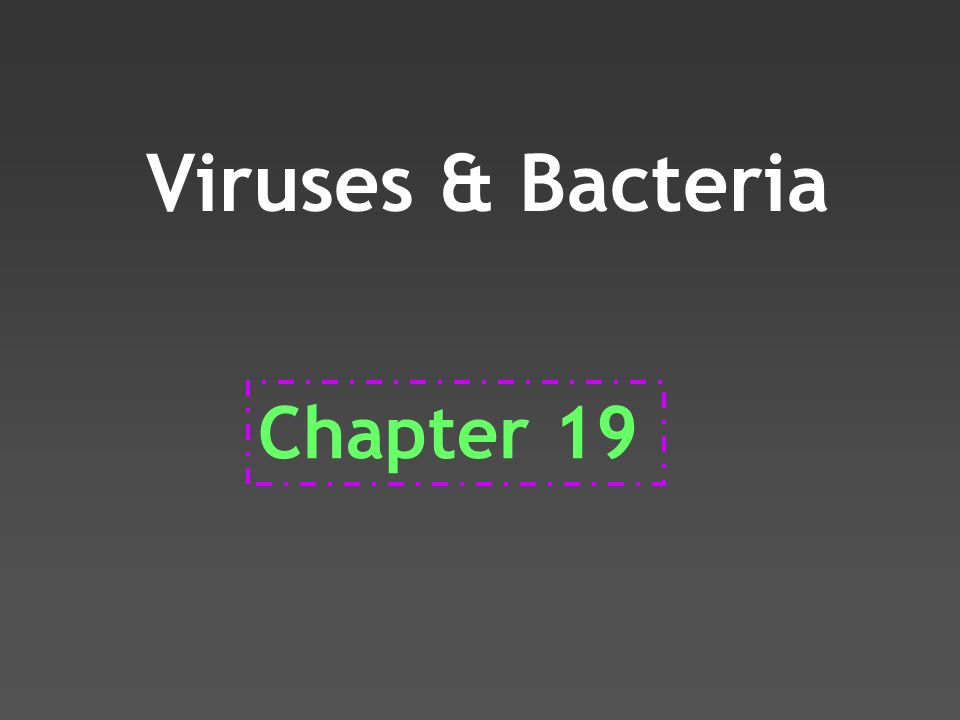 Viruses & Bacteria Chapter 19