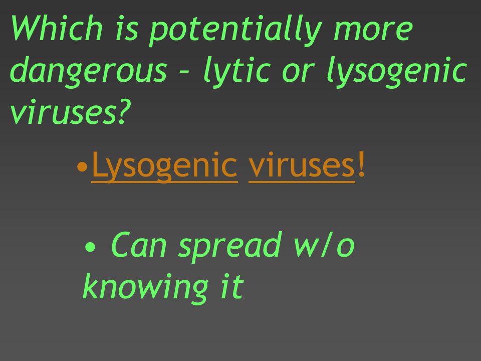 Which is potentially more dangerous – lytic or lysogenic viruses.