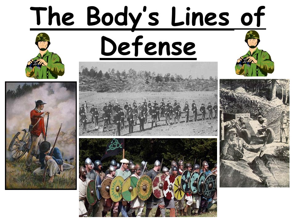 The Body’s Lines of Defense
