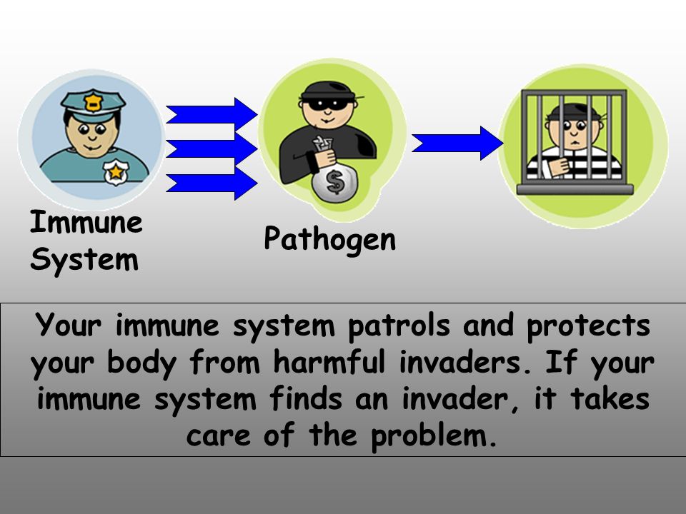 Your immune system patrols and protects your body from harmful invaders.