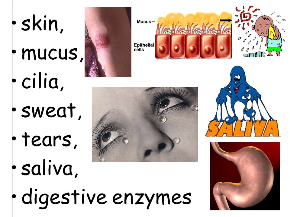skin, mucus, cilia, sweat, tears, saliva, digestive enzymes