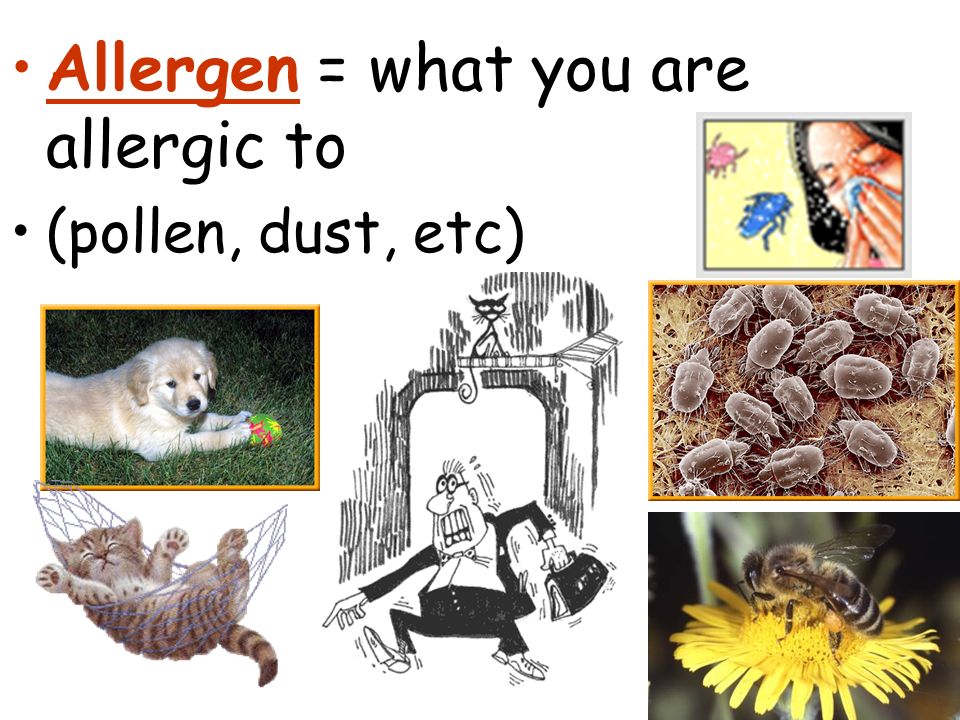 Allergen = what you are allergic to (pollen, dust, etc)