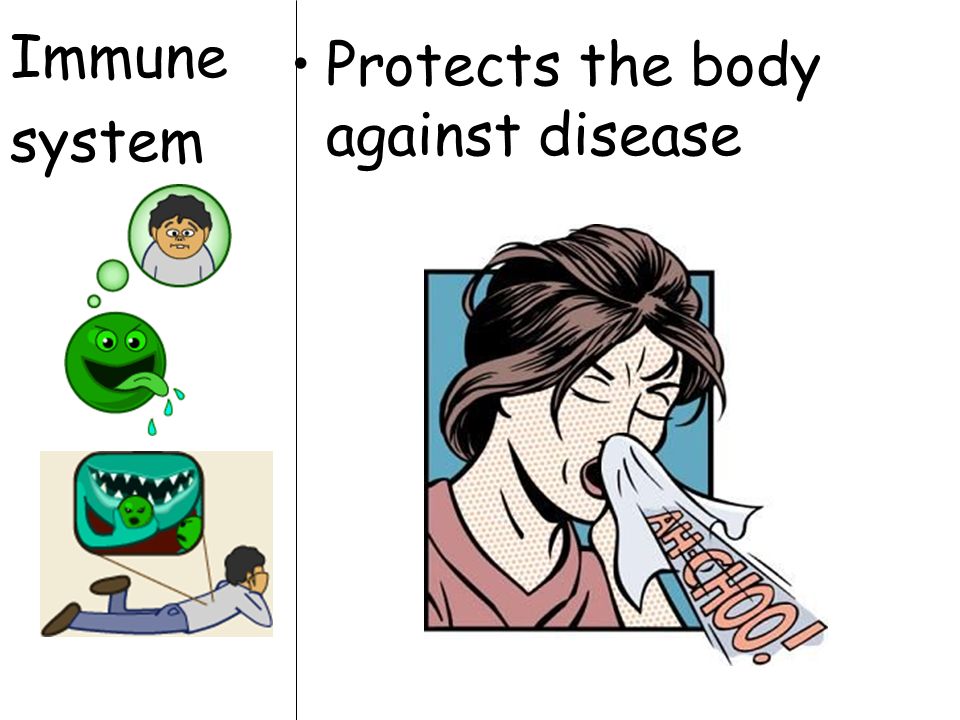 Immune system Protects the body against disease