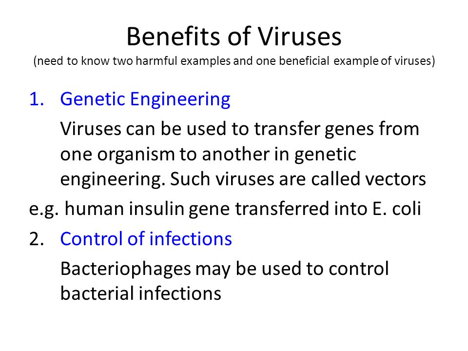 a debate on whether viruses are living or nonliving organisms a debate on whether viruses are living or nonliving organisms