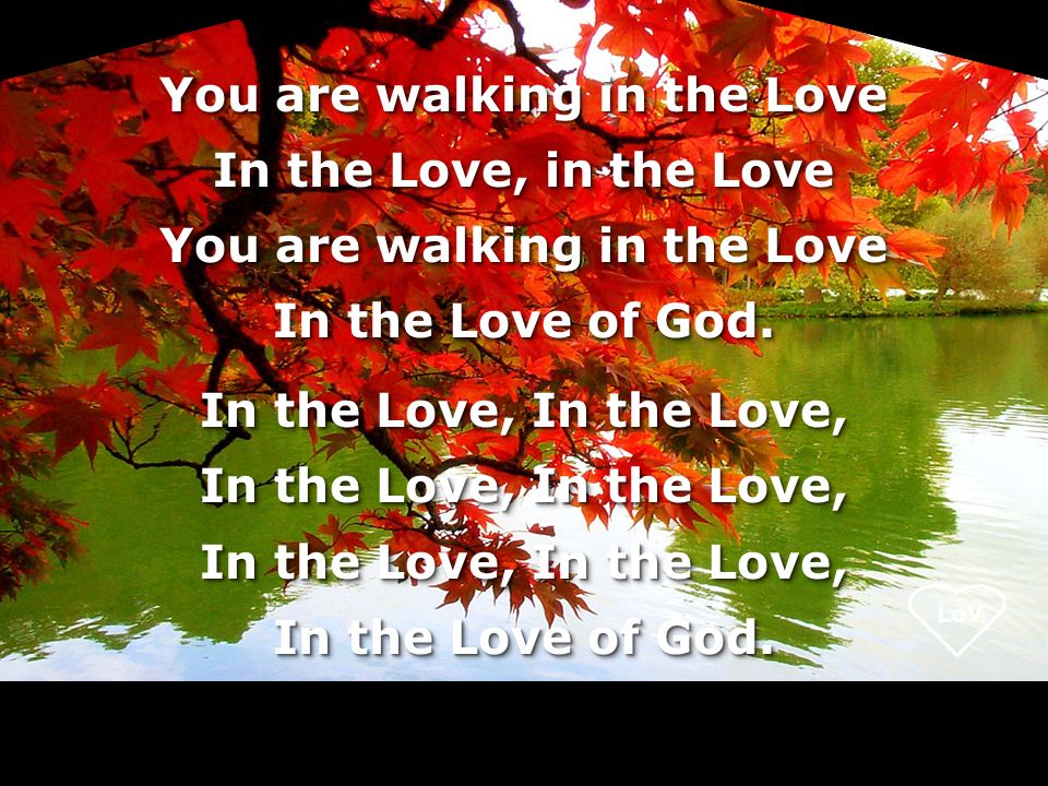 LoV You are walking in the Love In the Love, in the Love You are walking in the Love In the Love of God.