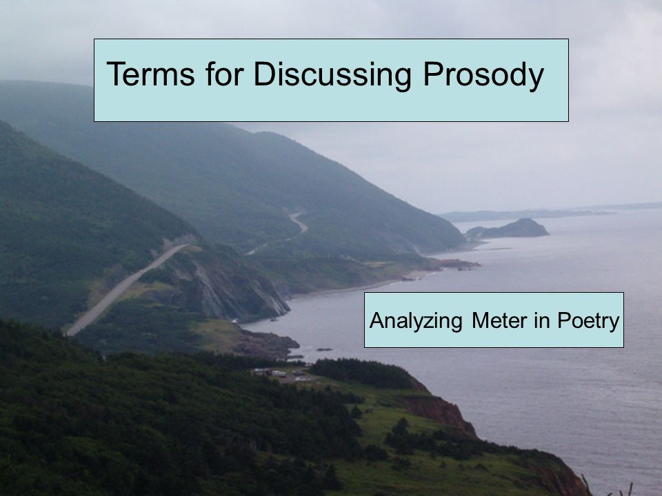 Terms for Discussing Prosody Analyzing Meter in Poetry