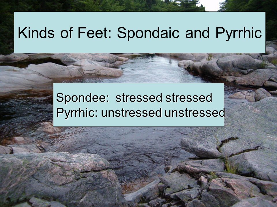 Kinds of Feet: Spondaic and Pyrrhic Spondee: stressed stressed Pyrrhic: unstressed unstressed