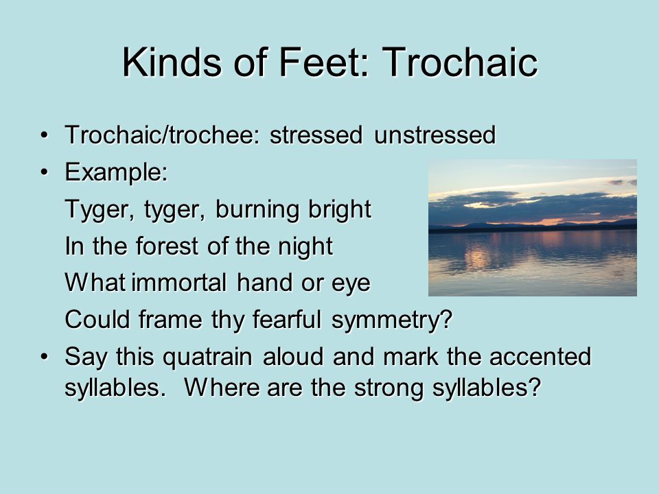 Kinds of Feet: Trochaic Trochaic/trochee: stressed unstressedTrochaic/trochee: stressed unstressed Example:Example: Tyger, tyger, burning bright In the forest of the night What immortal hand or eye Could frame thy fearful symmetry.