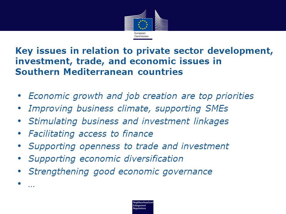 Key issues in relation to private sector development, investment, trade, and economic issues in Southern Mediterranean countries Economic growth and job creation are top priorities Improving business climate, supporting SMEs Stimulating business and investment linkages Facilitating access to finance Supporting openness to trade and investment Supporting economic diversification Strengthening good economic governance …