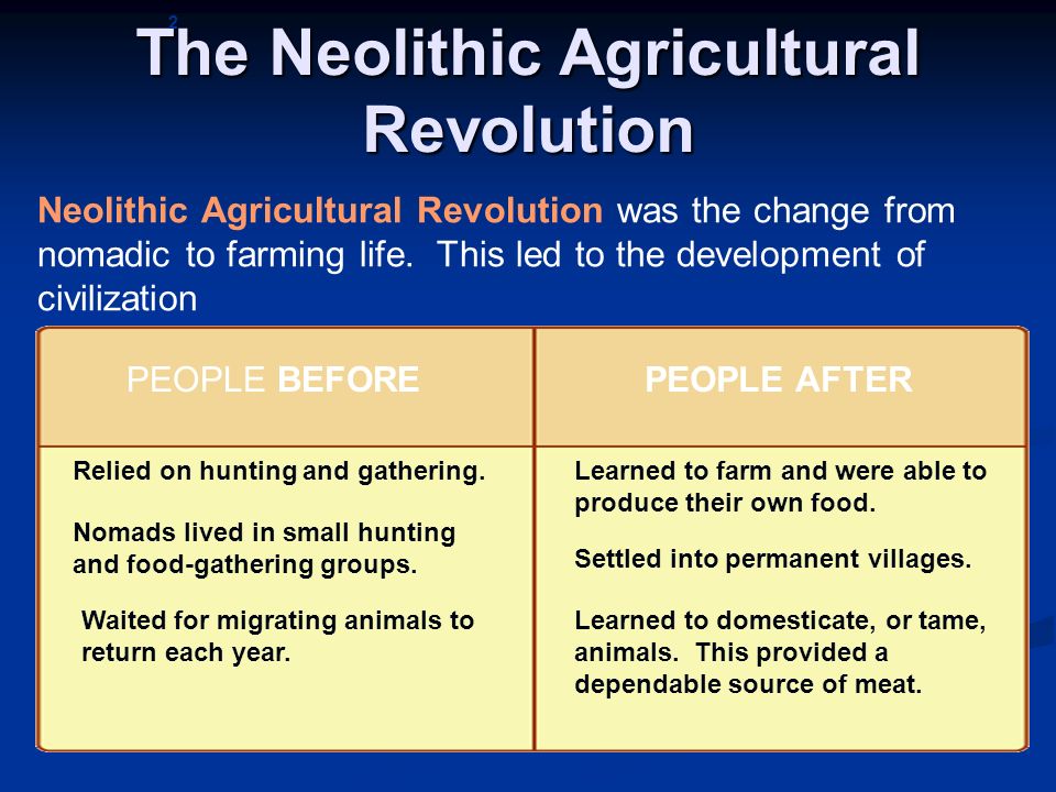 revolution essay revolution essay