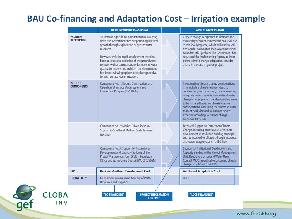 BAU Co-financing and Adaptation Cost – Irrigation example