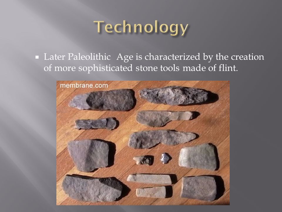 report on progress made by man from paleolithic to neolithic age 1 describe life for early humans during the paleolithic age 2 what important advances did neanderthal and cro-magnon peoples make 3 what advances were early people able to make as a result of the neolithic agricultural revolution. report on progress made by man from paleolithic to neolithic age 1 describe life for early humans during the paleolithic age 2 what important advances did neanderthal and cro-magnon peoples make 3 what advances were early people able to make as a result of the neolithic agricultural revolution.